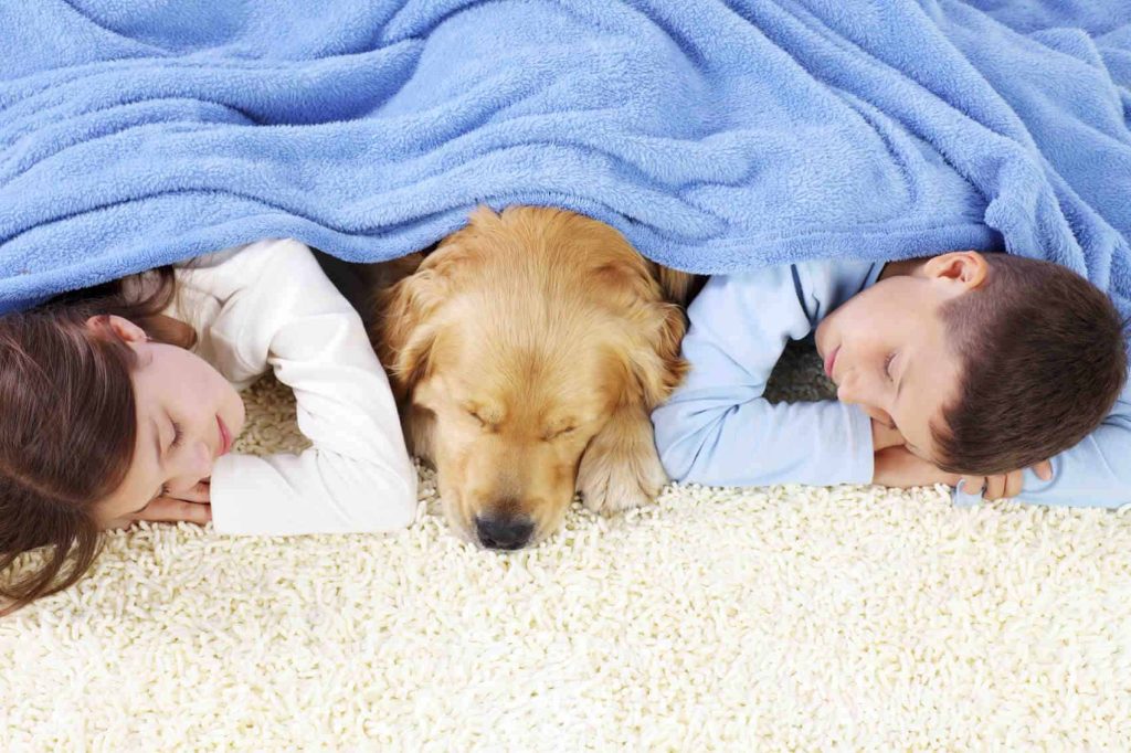 Two children and a puppy asleep on the floor together.