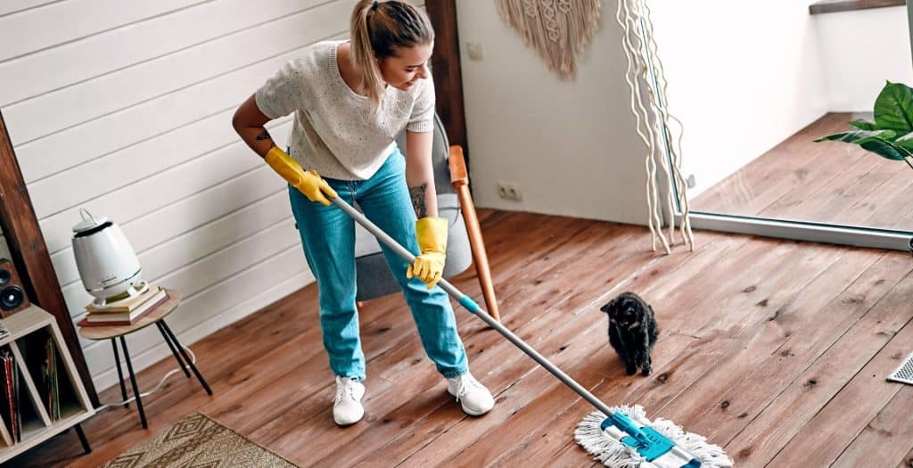 Freshen Your Nest Cleaning Services professional cleaning a bright kitchen in a Raleigh home